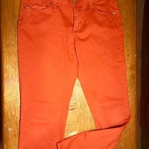 James Jeans Dry Aged Denim